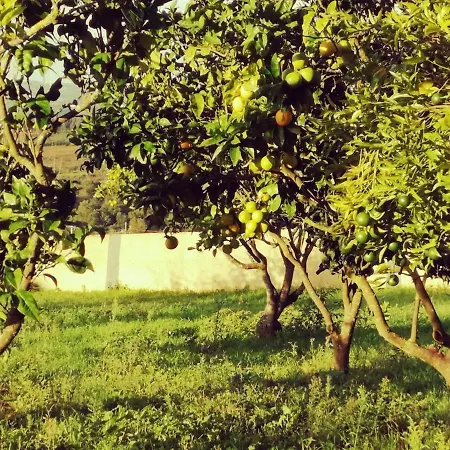 Casa Do Pinheiro Near Obidos With Garden Prázdninový dům *
