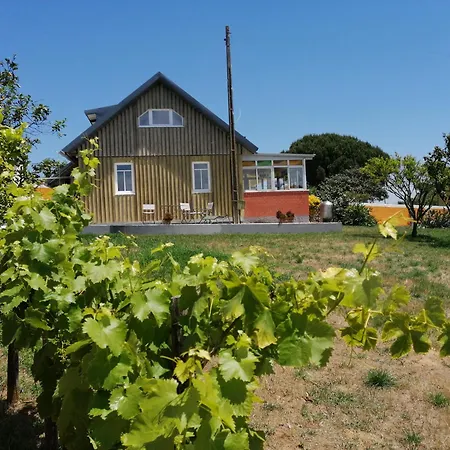 Casa Do Pinheiro Near Obidos With Garden Feriehus *