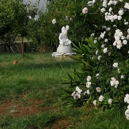 Casa Do Pinheiro Near Obidos With Garden Prázdninový dům