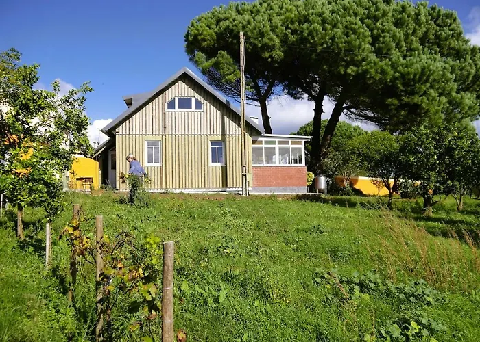 度假居 Casa Do Pinheiro Near Obidos With Garden